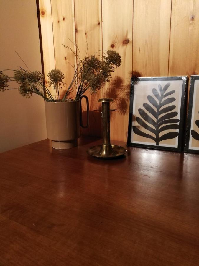 Surrein Casa Steilalva - Grosszuegiges Chalet Fuer Erholsamen Familienurlaub מראה חיצוני תמונה